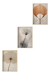 Wallity Huhu481 Pintura Decorativa en MDF con Marco (3 Piezas) 50 x 70 cm